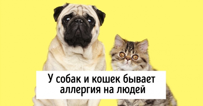 15 несподіваних фактів, які відкриють світ тварин з нової сторони