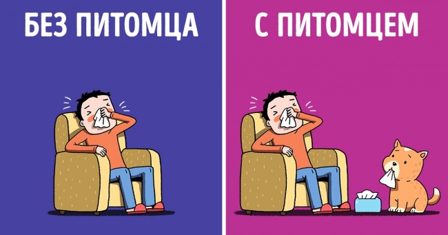 9 вагомих причин завести домашнього вихованця. Адже він замінює цілу аптечку