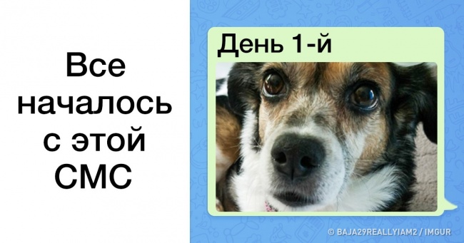 Хлопцеві довелося розлучитися з улюбленою собакою на цілий рік, але його мама змогла полегшити їх розлуку