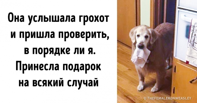 Ми зібрали фото, які буквально випромінюють тепло і турботу