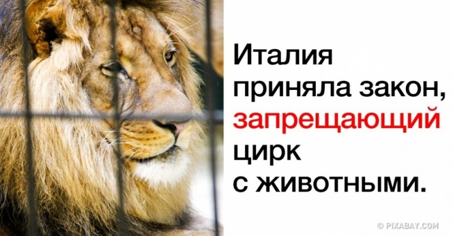 10 добрих новин, від яких у вас стане тепліше на душі