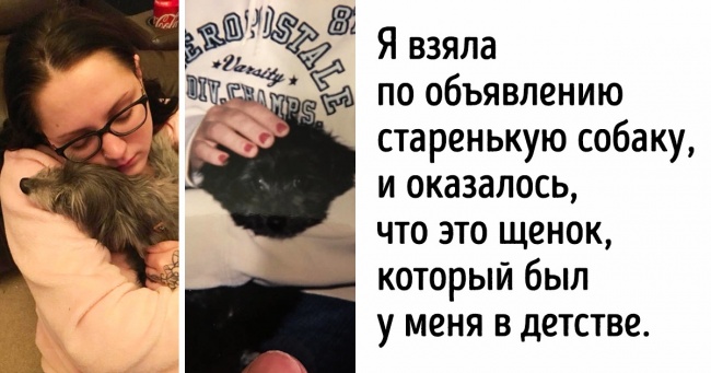 20+ тварин, які приготували людям сюрприз