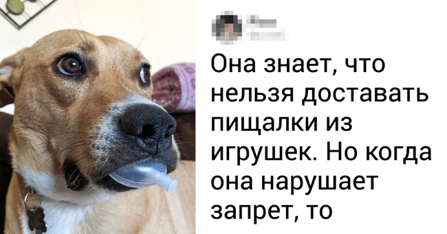 17 вихованців, які готові поборотися за звання самого доброго хлопчика місяця