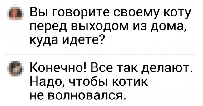 20+ зізнань про те, що говорять люди своїм котам перед відходом з будинку