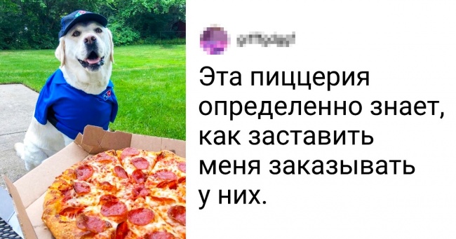 20+ песиків, які самі собі можуть заробити на кісточку