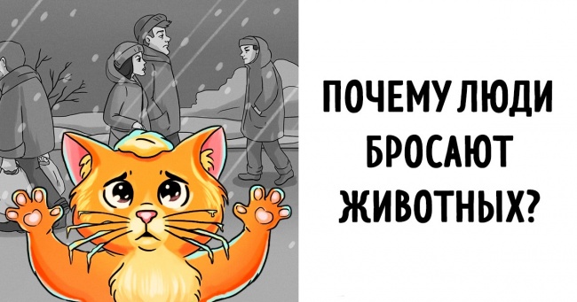 Історія про те, які почуття відчуває кожне безпритульна тварина