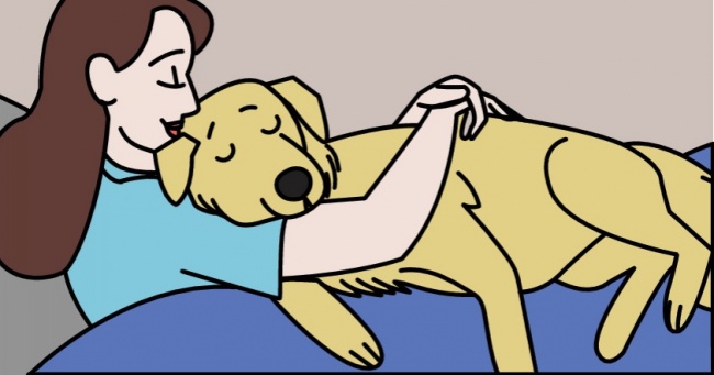 Як ваша собака зізнається вам у коханні: 11 способів