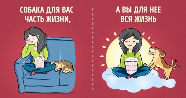 7 ілюстрацій про те, як нас бачить собака