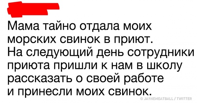 20+ людина розповіли історії зі свого життя, які звучать як чиясь божевільна вигадка