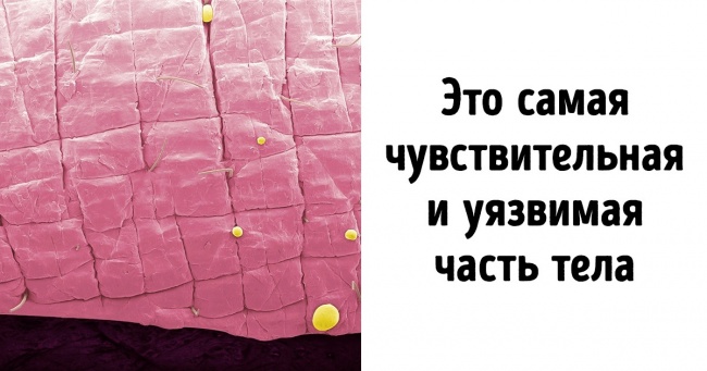 16 особливостей людського тіла, про які знають навіть не всі медики