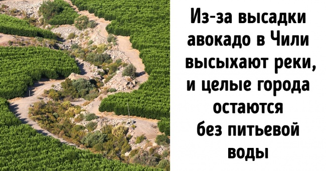 ООН пропонує нам врятувати Землю, поки не пізно. Взяти участь може кожен, і це не так складно, як ми думаємо