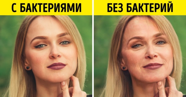 8 відкриттів минулого року, які перевернуть ваше уявлення про власному тілі (Спойлер: у людини знайшли новий орган)