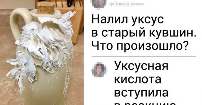 20+ фотографій, які чудово виглядали б у наукових підручниках