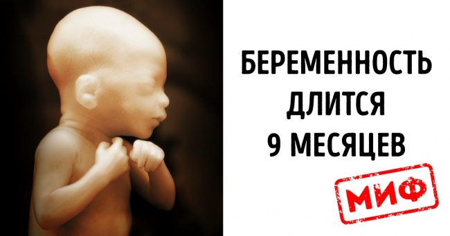7 популярних міфів про нашому тілі, на які вчені поставили штамп «Спростовано»