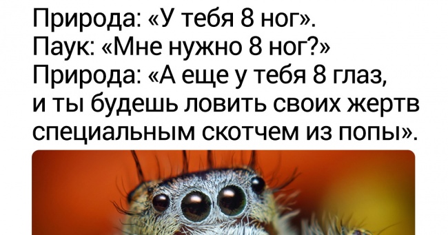 16 фантастичних створінь, при створенні яких природа злегка перемудрила