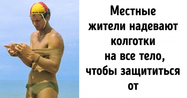 Чому на північному узбережжі Австралії краще ніколи не купатися без колготок