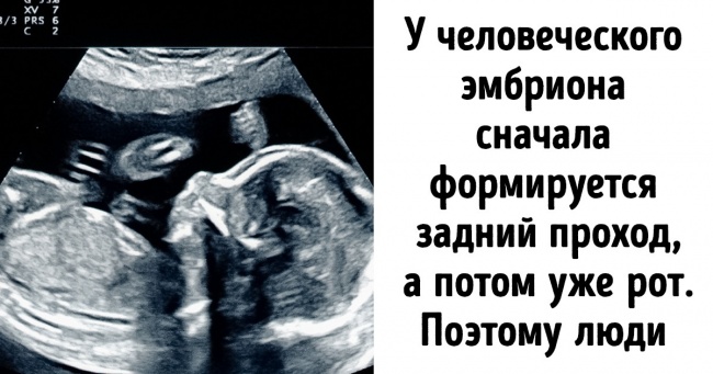 22 не найприємніших факту, дізнавшись які ви будете по-іншому дивитися на світ