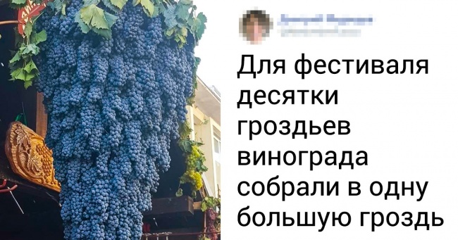 19 фото природи, які не соромно додати в шкільні підручники