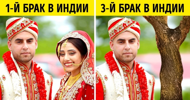 13 незвичних фактів про все на світі, які здивують навіть знавців «Що? Де? Коли?»