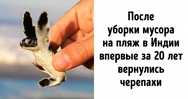 10 надихаючих перемог, які люди здобули в боротьбі за чистоту планети