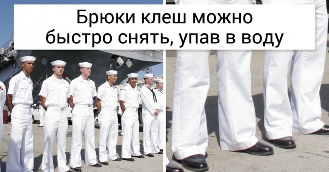 8 причин, чому звичні нам речі виглядають саме так, а не інакше