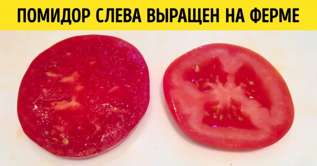 30+ речей, які мало хто бачив наживо