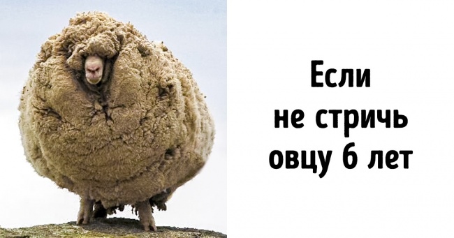 18 рідкісних фотографій, які варто побачити хоча б раз у житті