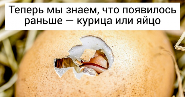 10 вічних питань, що мучили нас з дитинства, а наука вже дала відповідь на них