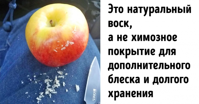 7 міфів, з-за яких ми відмовляємося від улюбленої їжі