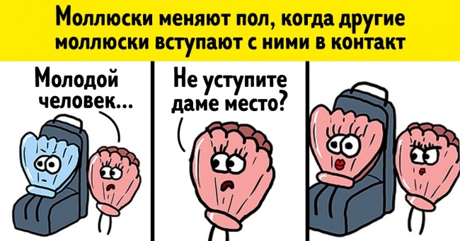 20+ коміксів від спільноти «Образовач», яке до серйозних новин ставиться з тонким гумором