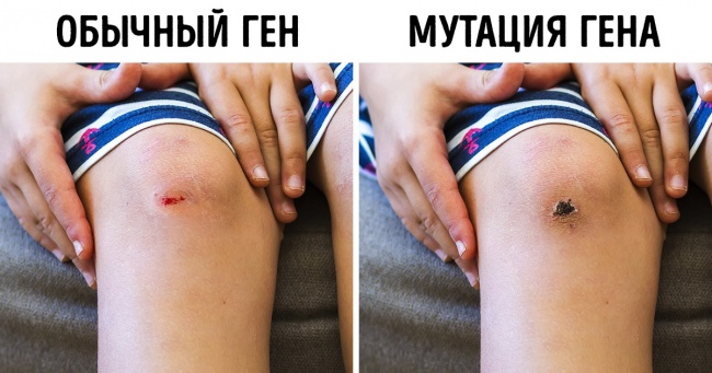 11 наукових способів уповільнити старіння і стати довгожителем