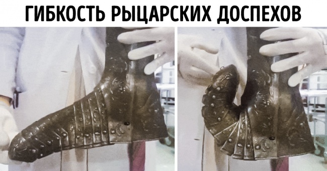 17 фотодоказів того, що енциклопедії знають далеко не всі
