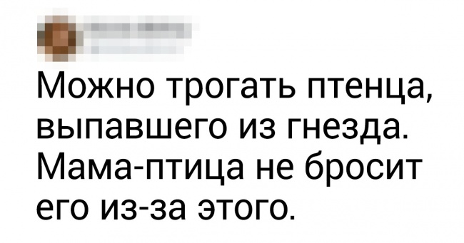 15 помилок, в які вірить майже кожний (Приготуйтеся забути все, що ви знали раніше)