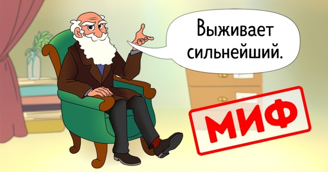 9 великих наукових міфів, після яких ви запитаєте в тому, що вже знали