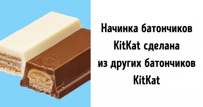 20+ фактів для тих, хто хоче знати все на світі