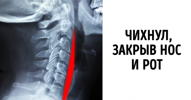 20+ фото від людей, які змогли б зробити цікавими навіть шкільні підручники