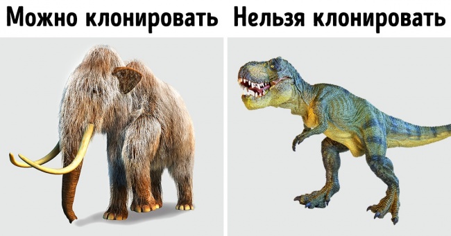 5 ненудних фактів про ДНК, які допоможуть зрозуміти, як влаштована жива природа