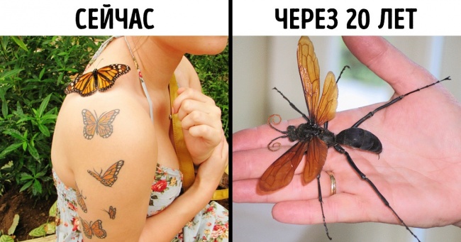 9 несподіваних проблем, які принесе глобальне потепління