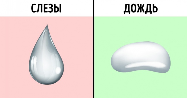 9 фактів з школи, які безнадійно застаріли