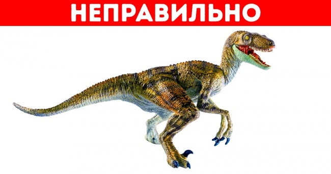 10 наукових ілюстрацій, які насправді повинні виглядати інакше