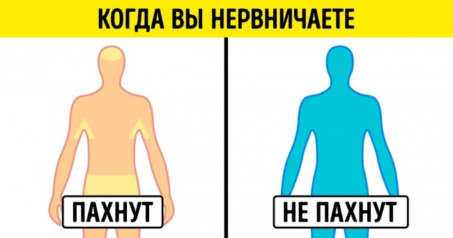 У багатьох дратівливих речей, як виявилося, є своя закономірність