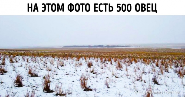12 оптичних ілюзій, які доведуть, що очам і мозку не завжди можна довіряти