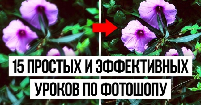 15 простих і ефективних уроків по фотошопу