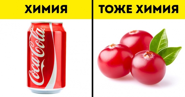 4 міфу про здоровий спосіб життя, які виявилися повною нісенітницею