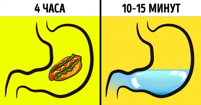 І все-таки чи можна пити воду під час їжі?