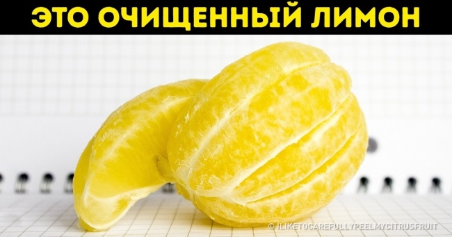 23 абсолютно звичайні речі, якими ви їх ще не бачили