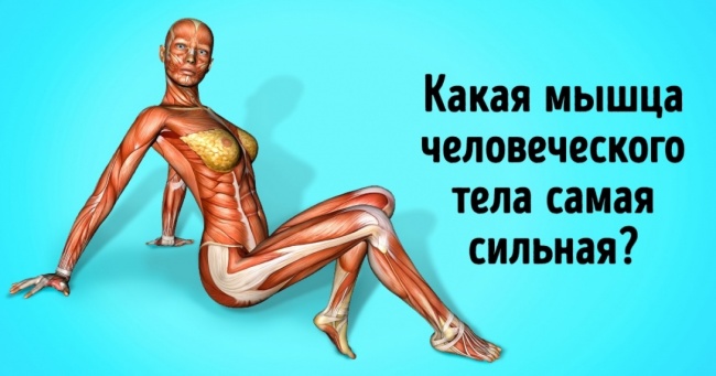 16 питань, на які легко дадуть відповідь школярі. А ви?