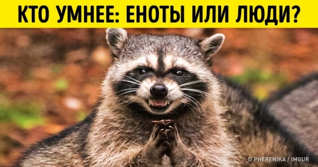 Ерудиція або інтуїція: цей простий тест покаже, як легко обвести вас навколо пальця