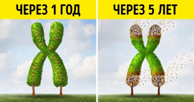 10 речей, які відбуваються з вашим тілом, коли ви сидите по 8 годин в день
