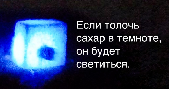 20 фактів про світ, які нормальні люди зазвичай не знають